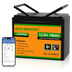Ecoworthy Battery